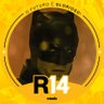Batman que bota no Renan Santos 14!'s profile picture