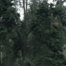Фото профиля Asdf