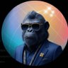 0xRinki's profile picture