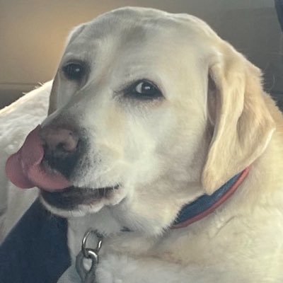 jlfpeZeFBc5yOnW's profile picture