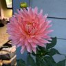 Фото профиля Sydney Marie
