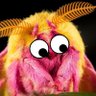 Bug Simulator 🐧's profile picture