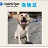 dekanzaoutlook 的头像