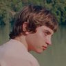 dinossauros na revolução francesa's profile picture