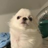 Profilbild von mu 沐