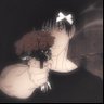 GOTH Daddy's profile picture