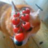 มุมิไม่ชอบกินข้าว ʚ🍅ɞ˚ profil fotoğrafı