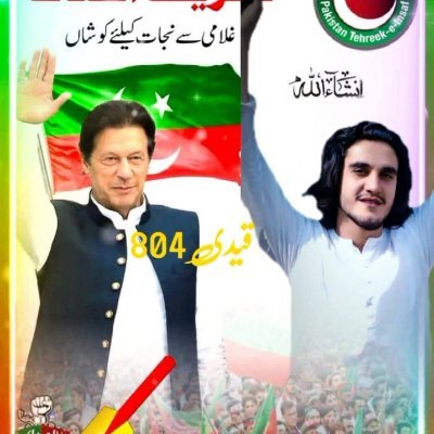 Ubaid501's profile picture