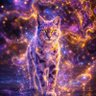 Lince 的头像