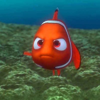 kayisi kiyarustemi's profile picture
