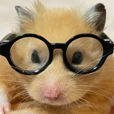 ropeitbyjin's profile picture