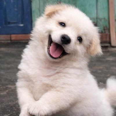 wjung9855's profile picture