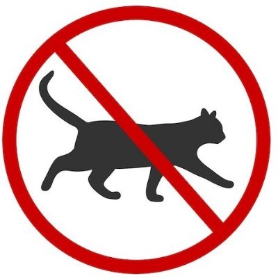 Başıboş Kedi Sorunu's profile picture