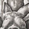 Sexologist's profile picture