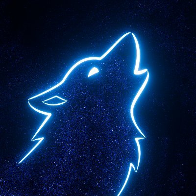 Wolf's profile picture