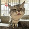 Periyasamy Pandiyan profil fotoğrafı