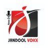 Jandool Voice's profile picture