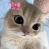 mingming_jaz (hiatus)'s profile picture