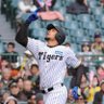 ラモヘル's profile picture