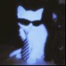 Profilbild von zai