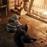 Фото профиля たまねぎ戦士