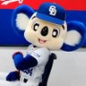 竜党どあら 母の介護中⊂(´・▲・`)⊃'s profile picture