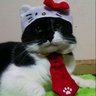キャロ profil fotoğrafı