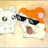 ねこまるるる's profile picture