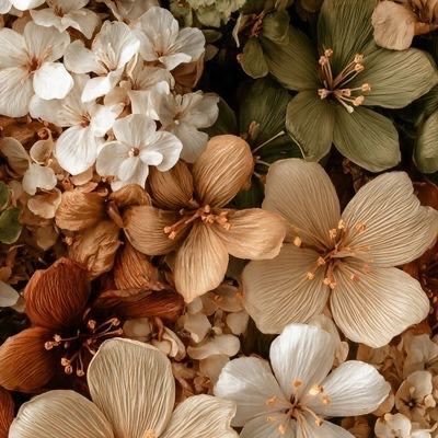 alicee💐's profile picture