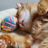 おもちくわ profil fotoğrafı