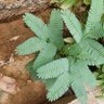 Totoya Yemen. 的头像