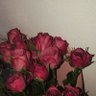 Profilbild von جيهان🌹