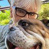 Nina Johnson and Rudy the Bulldog's profile picture