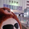 Profilbild von 勇斗🌴🐻KTM
