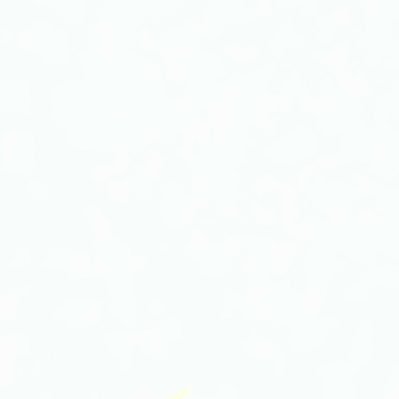 Newprno's profile picture