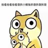 陈嘉熠 profil fotoğrafı