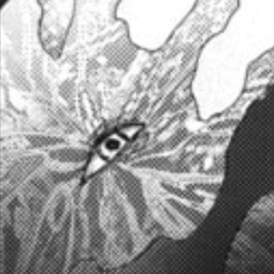 littlepikmins's profile picture
