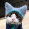 Profilbild von blu crayon