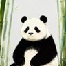 Haidangbk's profile picture