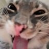 Profilbild von fierce