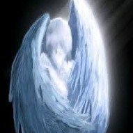 modeltragedy's profile picture