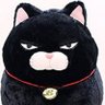 ちりめん猫助 profil fotoğrafı