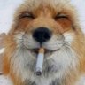 KosmoStas's profile picture