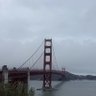 yc profil fotoğrafı