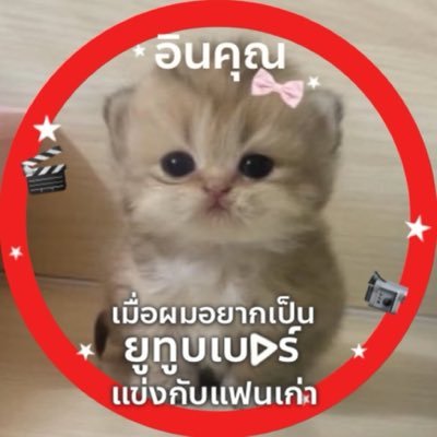 P o o P e A 🐈's profile picture