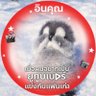 Profilbild von Kwankhao