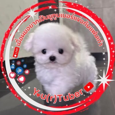 กอตอ's profile picture