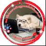 ⋆.𐙚 ̊ TEAMMMMM ˘͈ᵕ˘͈ profil fotoğrafı