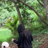 tria 的头像