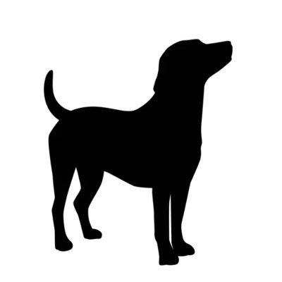 mkm9962's profile picture